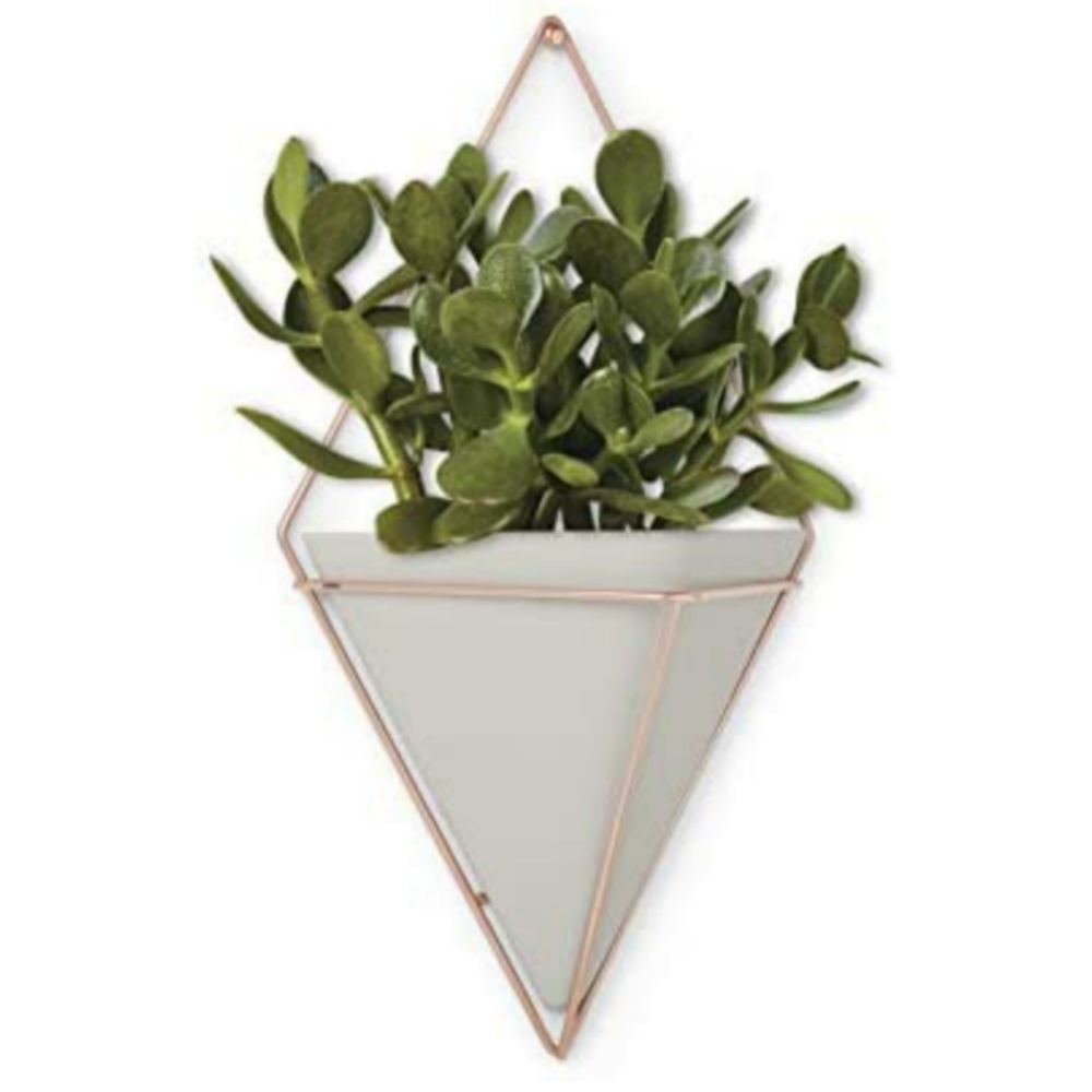 Umbra trigg hanging planter large ceramic